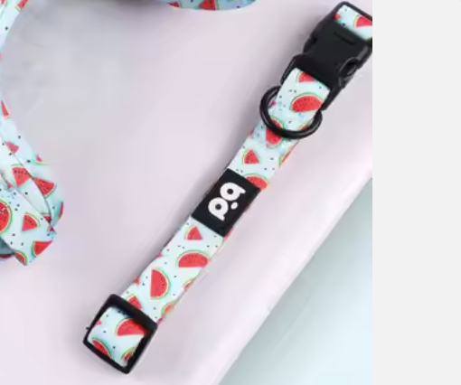 WATERMELON COLLAR